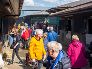 PN030422-183 - Paul Nicholls Stable Visit